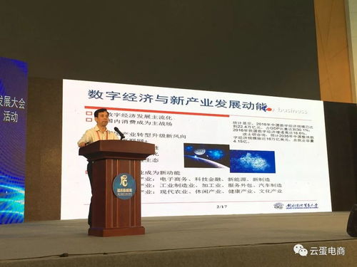 学者企业齐聚太白山麓，共绘县域电商发展新蓝图